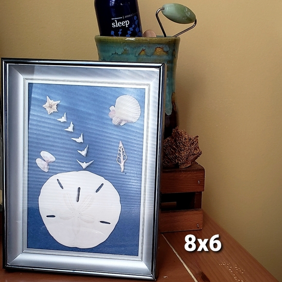 Sand Dollar and Shell Shadowbox From Mexico - Picture 2 of 5